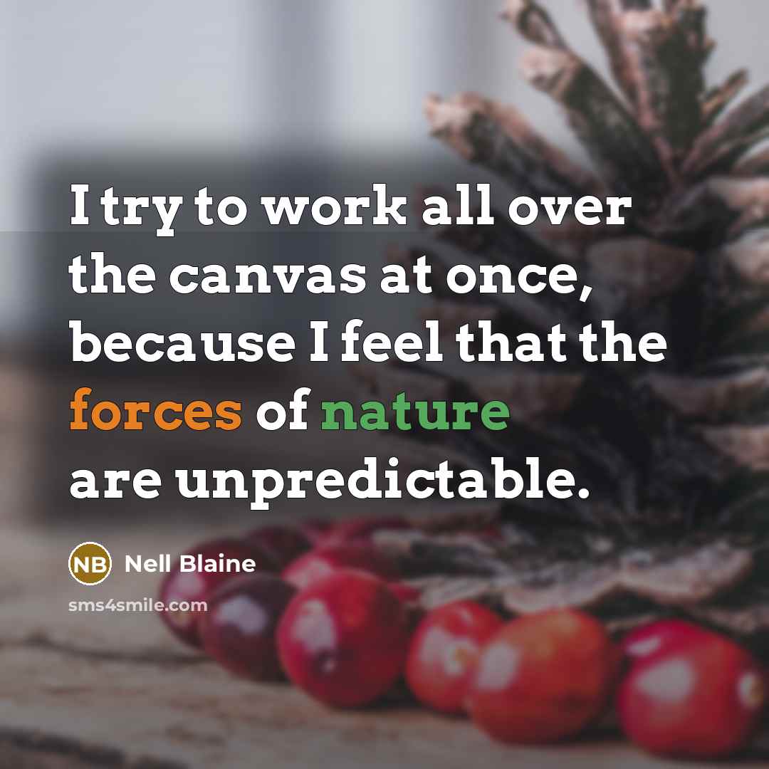 “I try to work all over the canvas at once, because I feel that the forces of nature are unpredictable.” quote by Nell Blaine