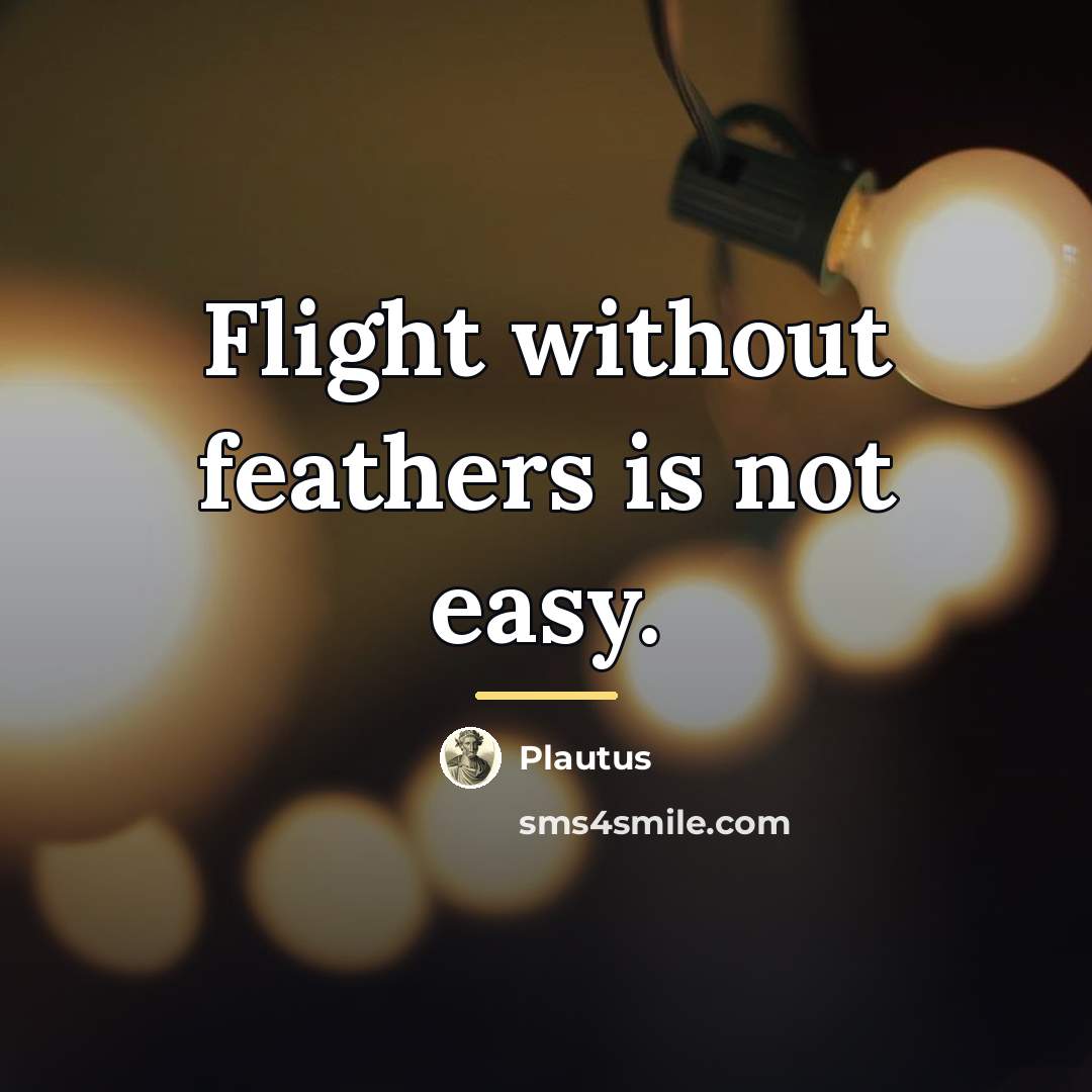 “Flight without feathers is not easy.…” quote by Plautus