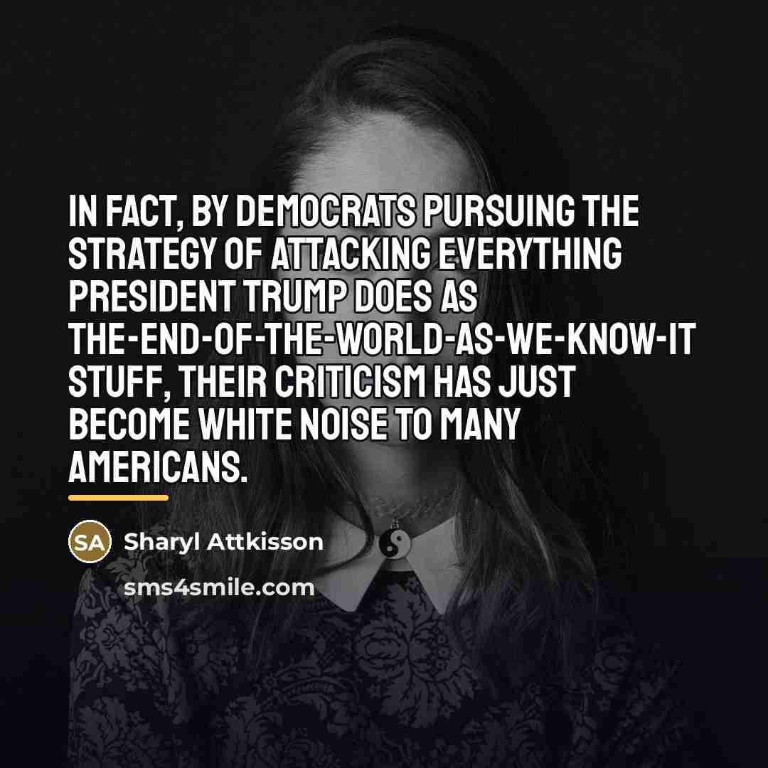 “In fact, by Democrats pursuing the strategy of attacking everything…” quote by Sharyl Attkisson