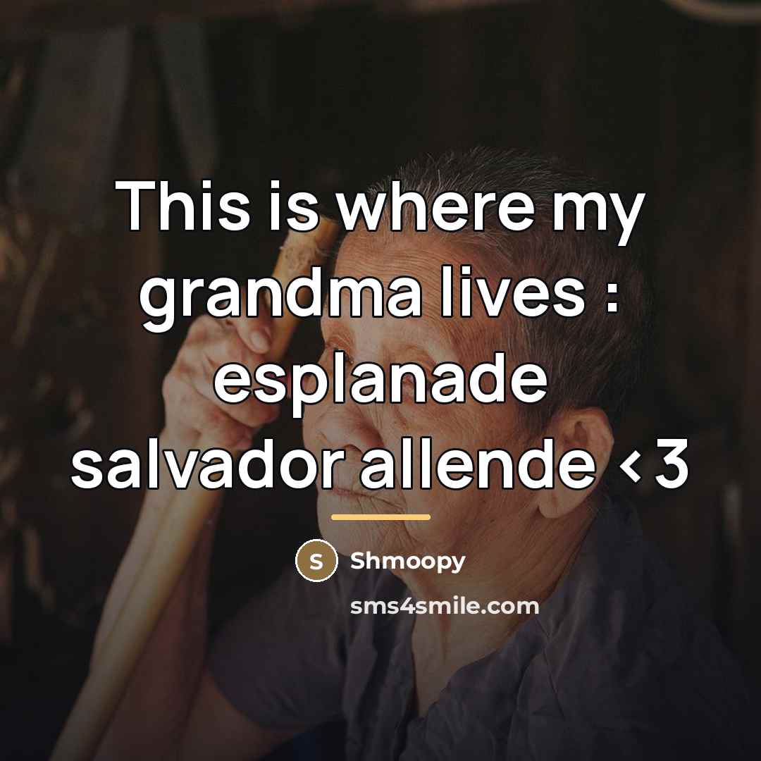 “This is where my grandma lives : esplanade salvador allende…” quote by Shmoopy