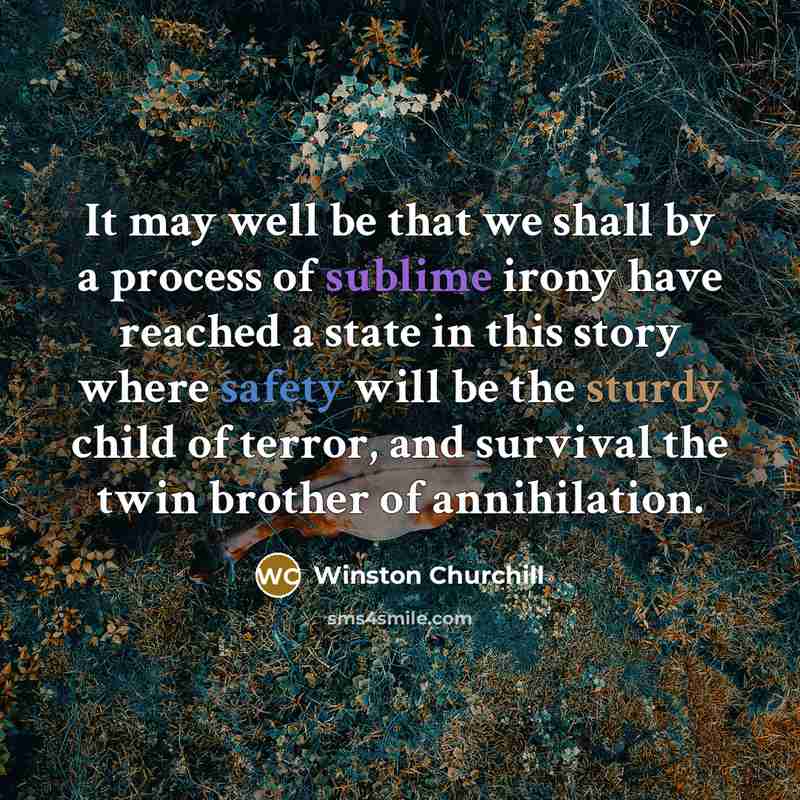 “It may well be that we shall by a process…” quote by Winston Churchill