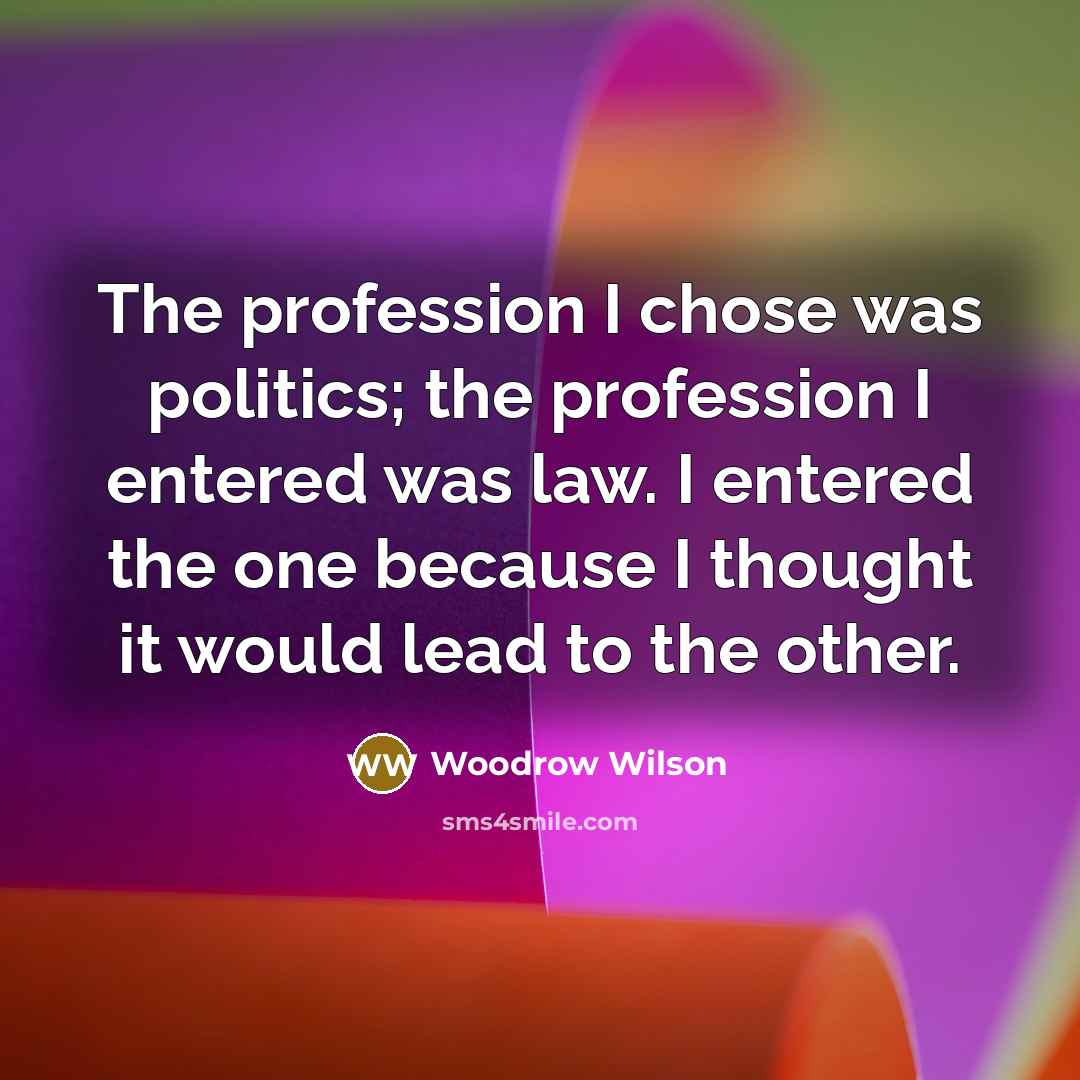 “The profession I chose was politics; the profession I entered…” quote by Woodrow Wilson