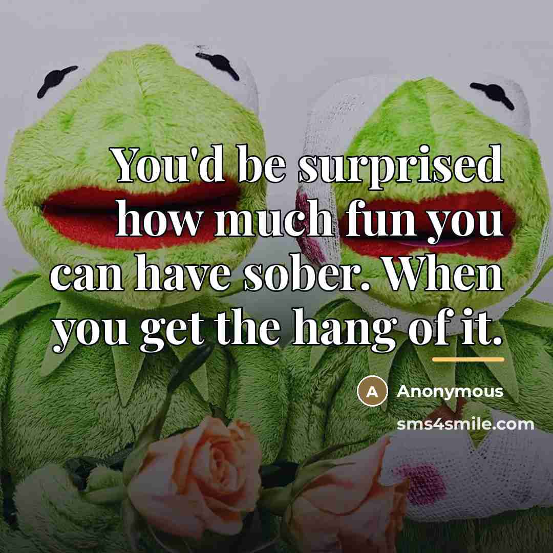 “You'd be surprised how much fun you can have sober.…” quote by Anonymous