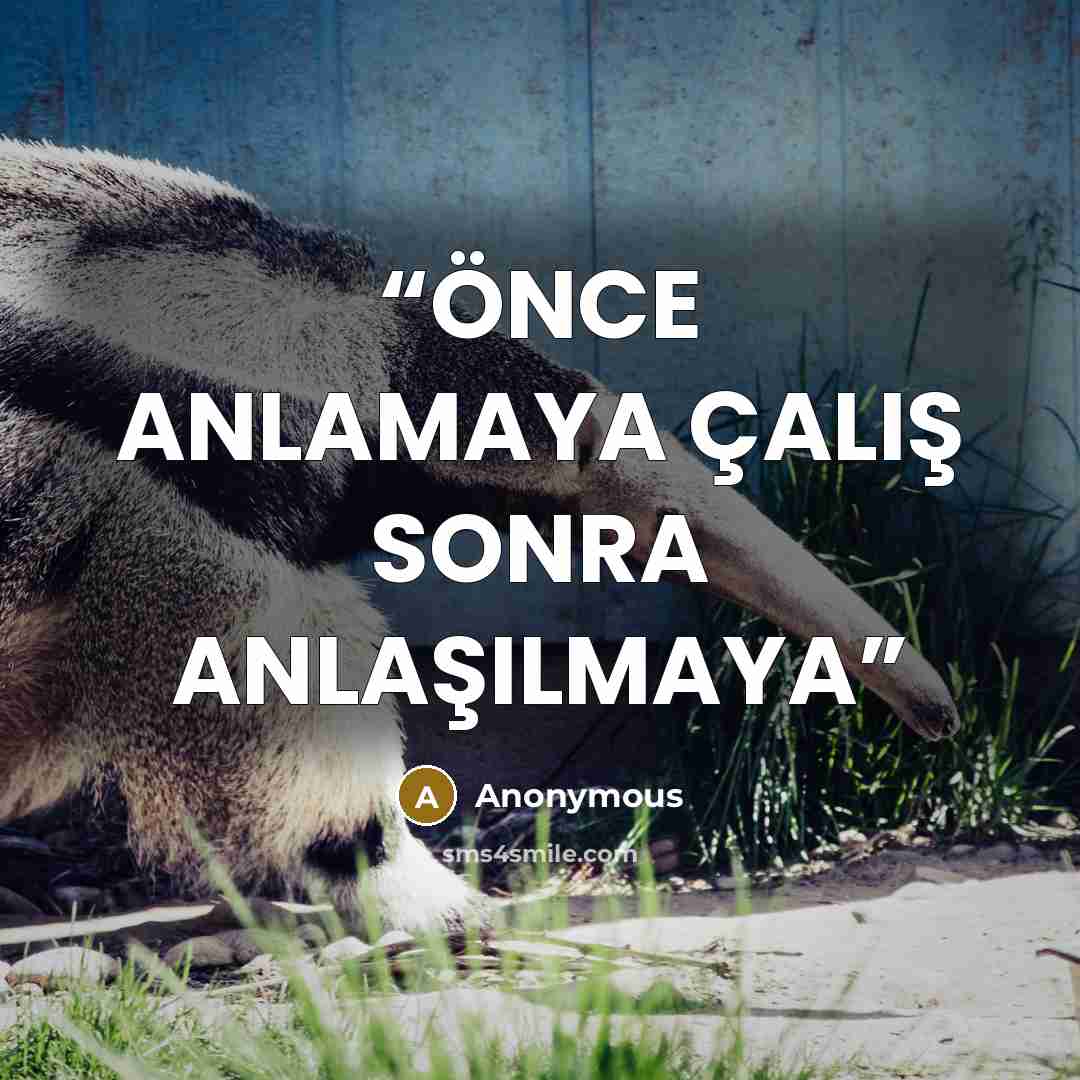 “ÖNCE ANLAMAYA ÇALIŞ SONRA ANLAŞILMAYA” quote by Anonymous