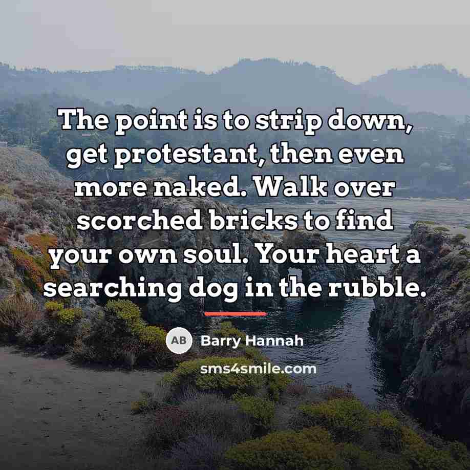 “The point is to strip down, get protestant, then even…” quote by Barry Hannah