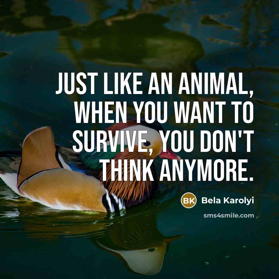 “Just like an animal, when you want to survive, you…” quote by Bela Karolyi