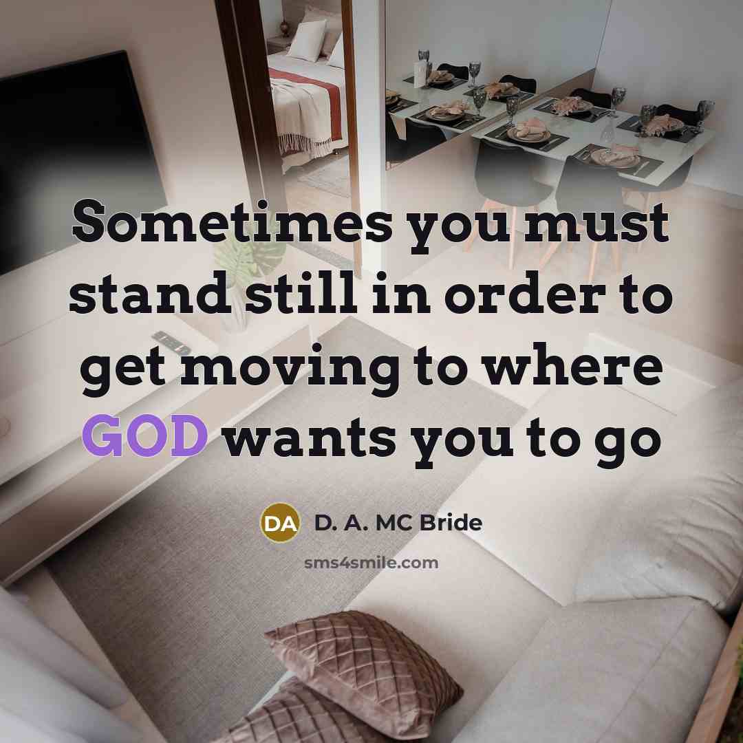 “Sometimes you must stand still in order to get moving…” quote by D. A. MC Bride
