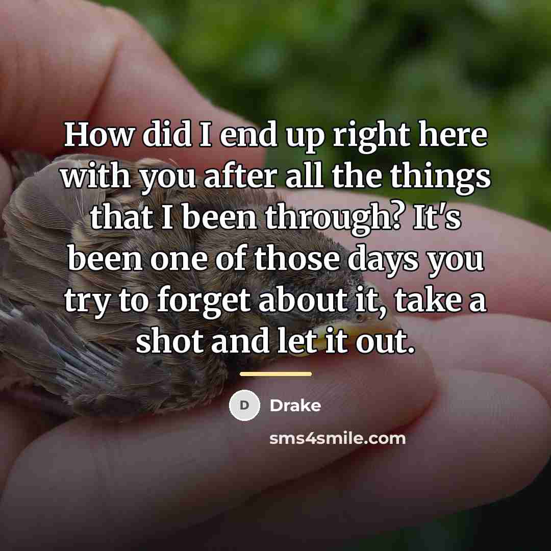“How did I end up right here with you after…” quote by Drake