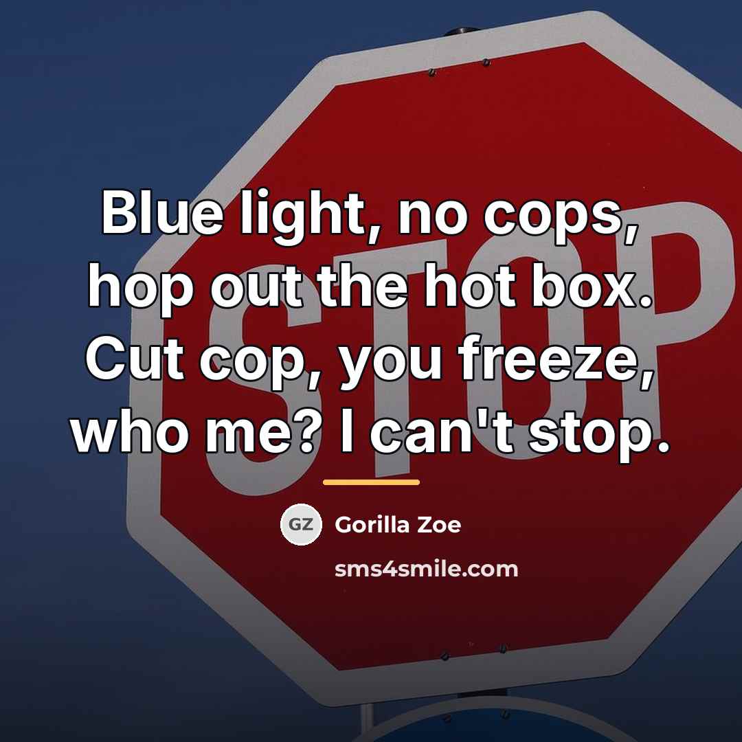 “Blue light, no cops, hop out the hot box. Cut…” quote by Gorilla Zoe
