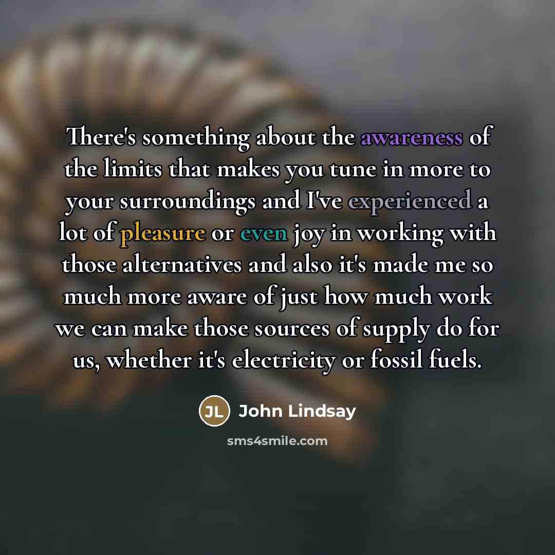 “There's something about the awareness of the limits that makes…” quote by John Lindsay