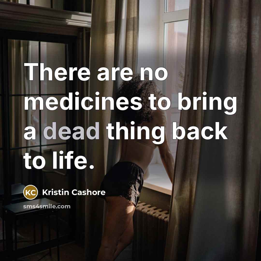 “There are no medicines to bring a dead thing back to life.” quote by Kristin Cashore