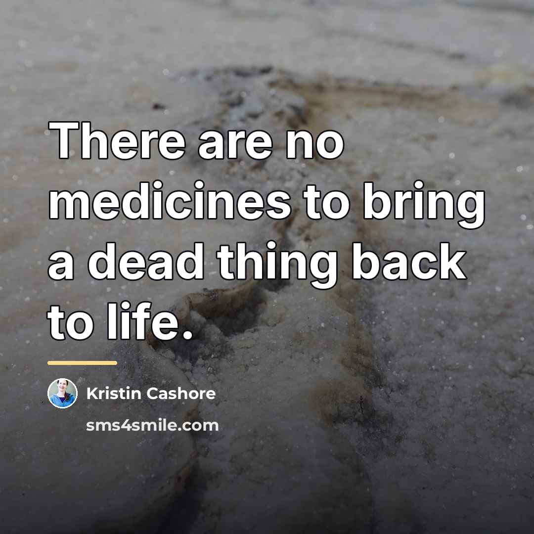 “There are no medicines to bring a dead thing back…” quote by Kristin Cashore