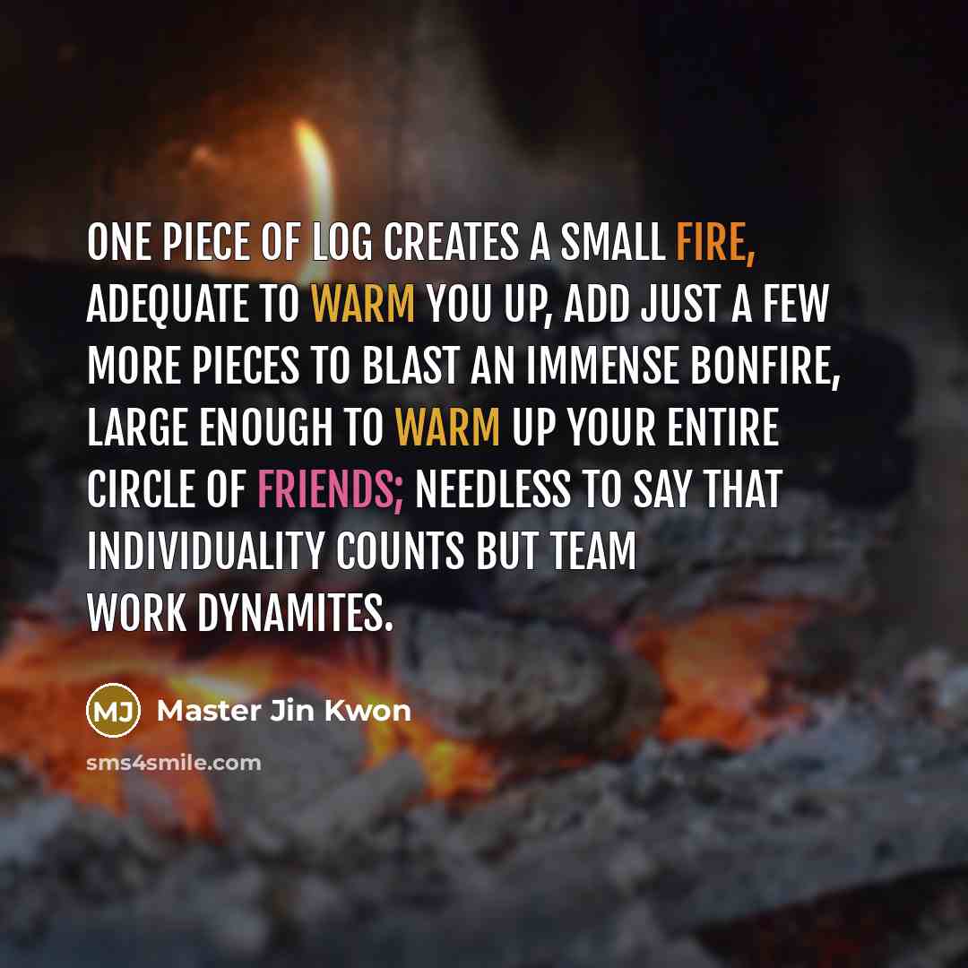 “One piece of log creates a small fire, adequate to warm you up, add just a few more pieces to blast an immense bonfire, large enough to warm up your entire circle of friends; needless to say that individuality counts but team work dynamites.” quote by Master Jin Kwon