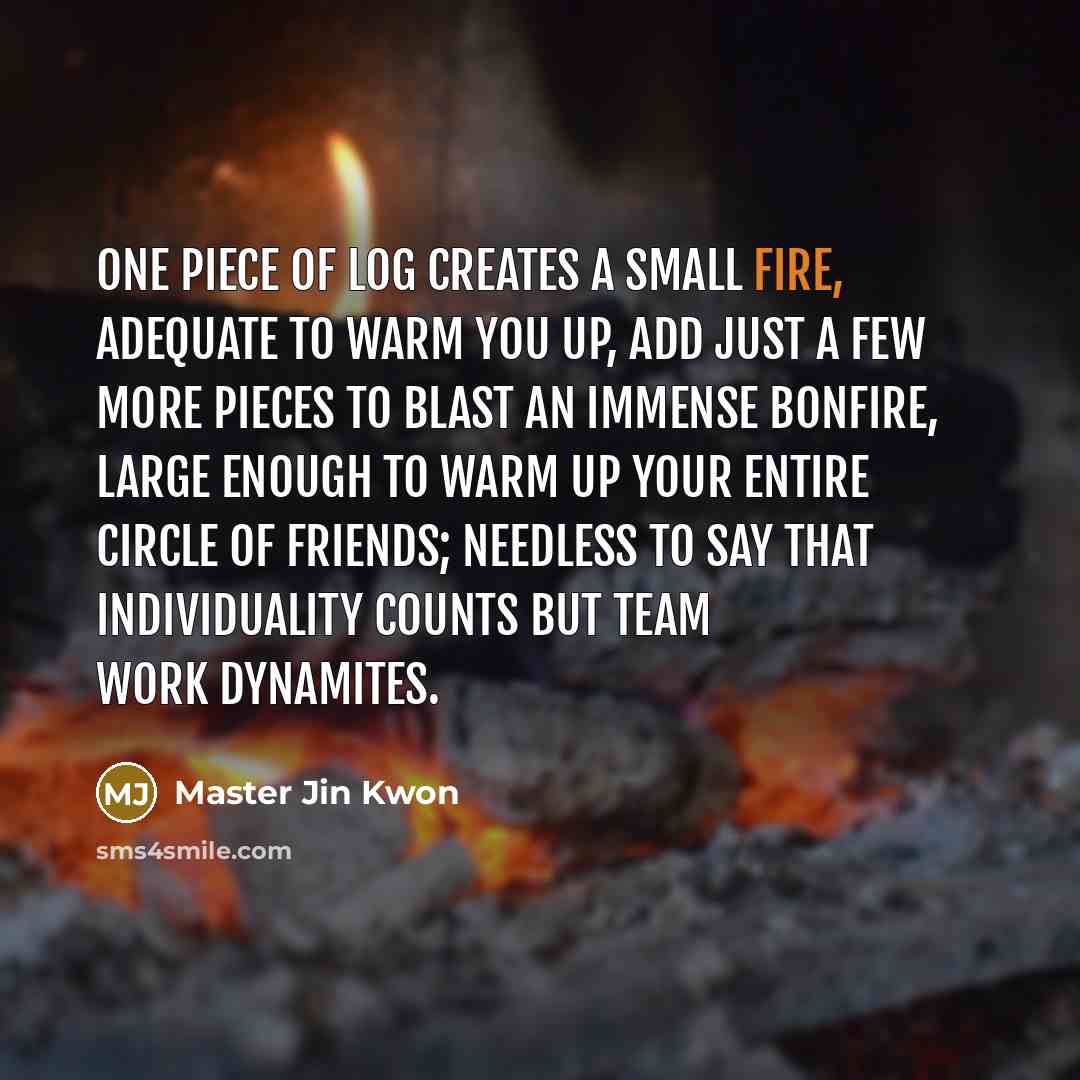 “One piece of log creates a small fire, adequate to…” quote by Master Jin Kwon