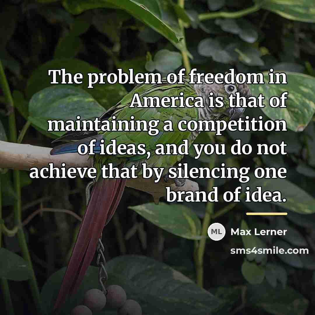 “The problem of freedom in America is that of maintaining…” quote by Max Lerner
