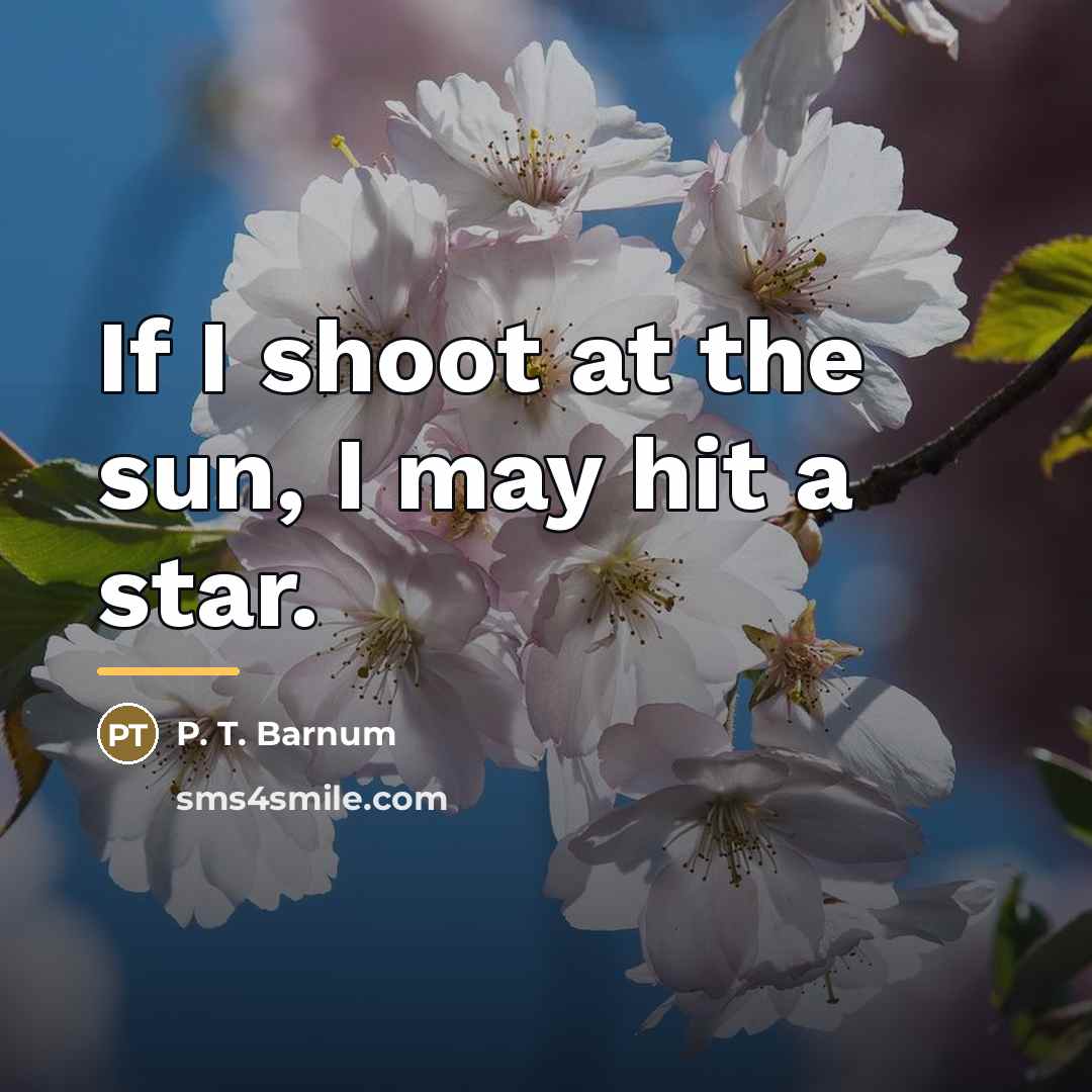 “If I shoot at the sun, I may hit a…” quote by P. T. Barnum