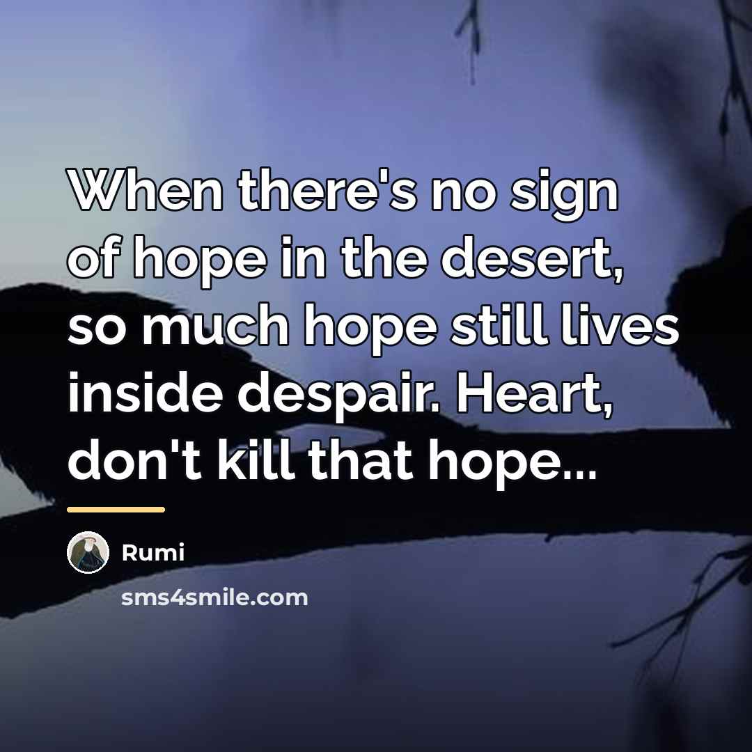 “When there's no sign of hope in the desert, so…” quote by Rumi