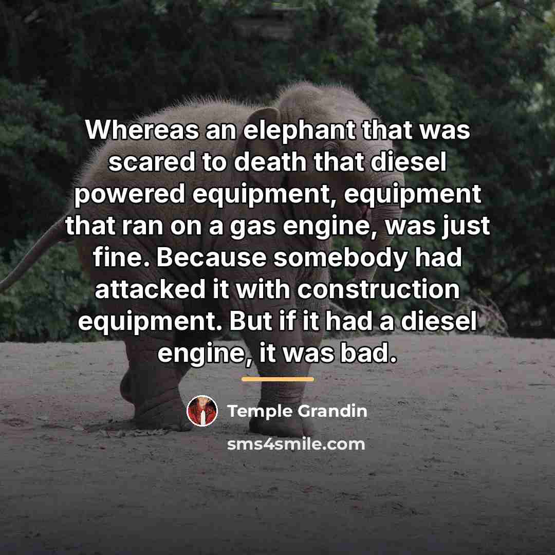“Whereas an elephant that was scared to death that diesel…” quote by Temple Grandin