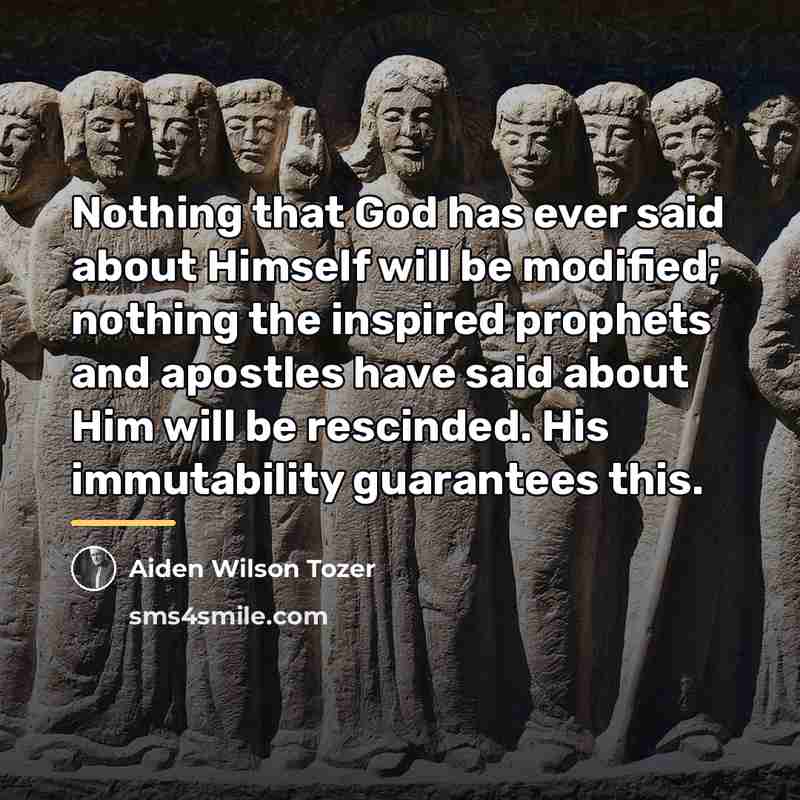 “Nothing that God has ever said about Himself will be…” quote by Aiden Wilson Tozer
