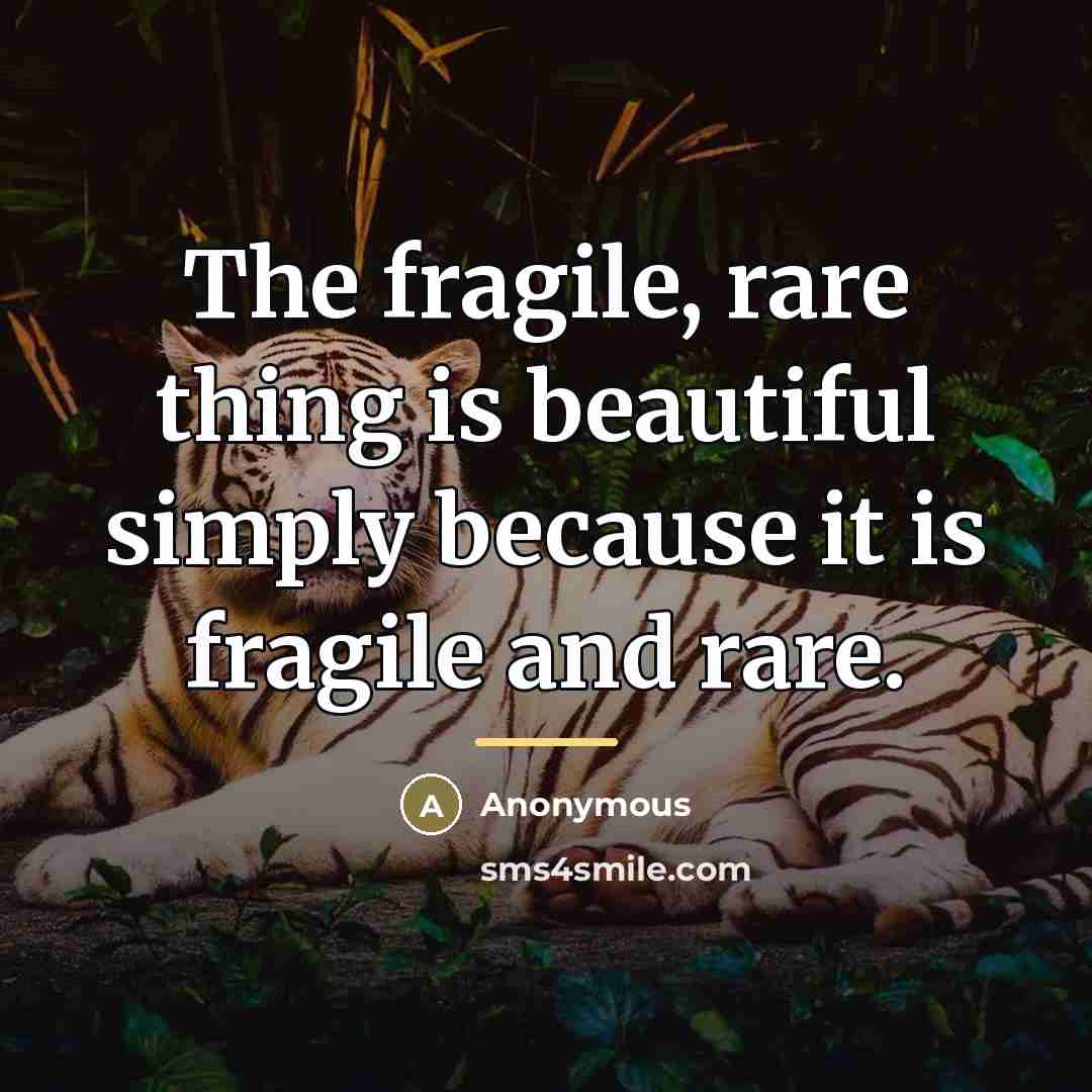 “The fragile, rare thing is beautiful simply because it is…” quote by Anonymous