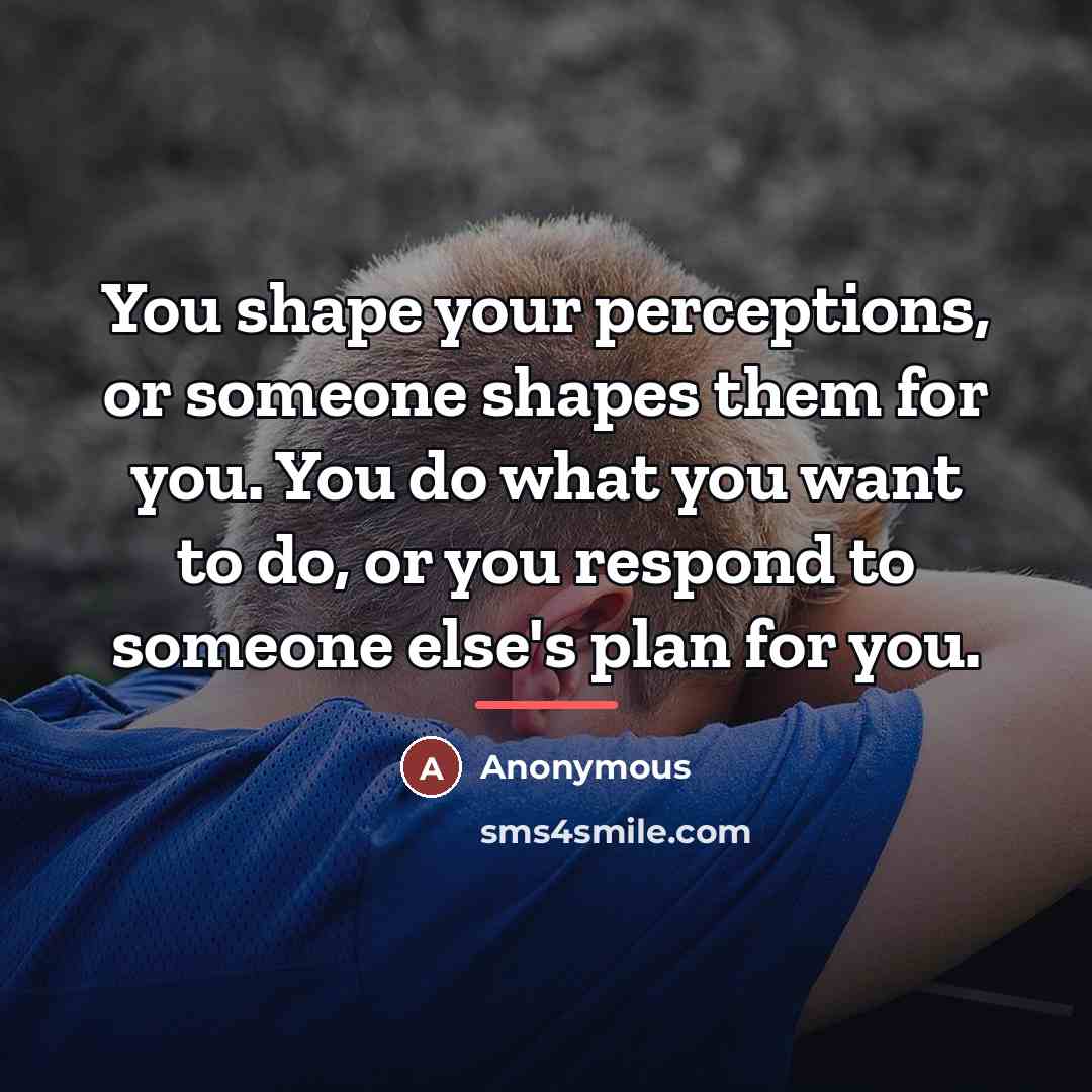 “You shape your perceptions, or someone shapes them for you.…” quote by Anonymous