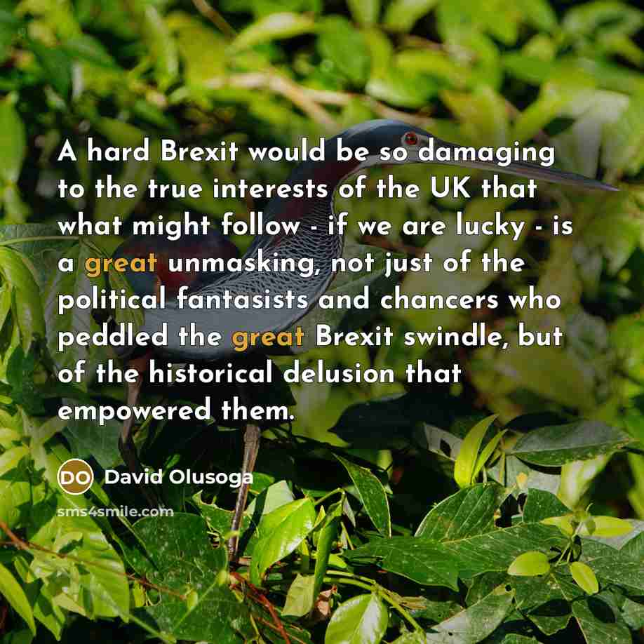 “A hard Brexit would be so damaging to the true…” quote by David Olusoga