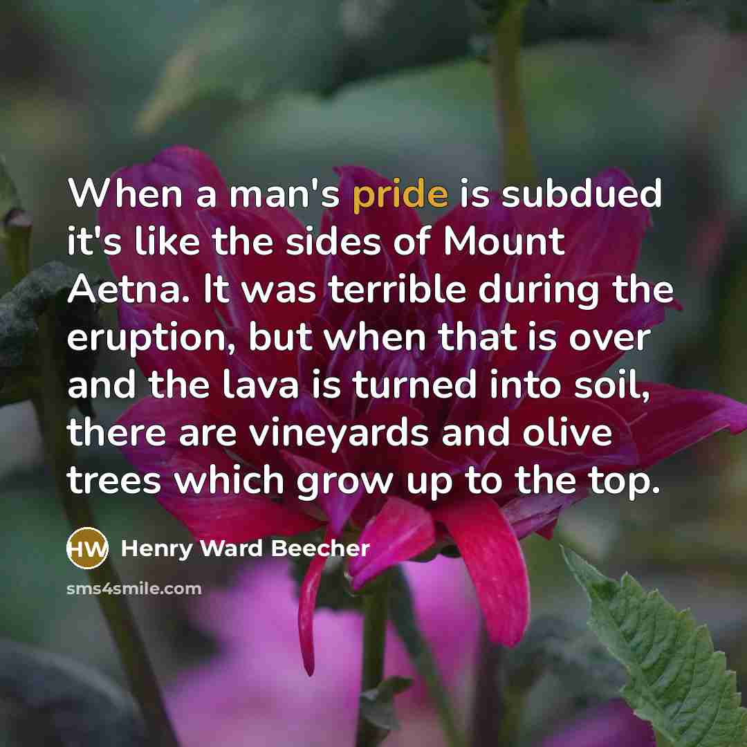 “When a man's pride is subdued it's like the sides…” quote by Henry Ward Beecher