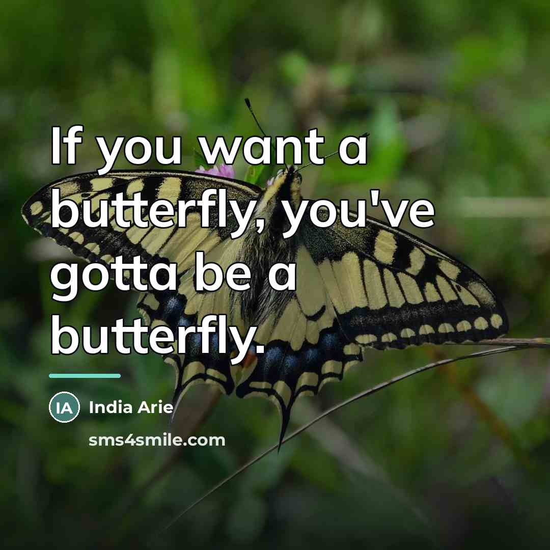 “If you want a butterfly, you've gotta be a butterfly.…” quote by India Arie