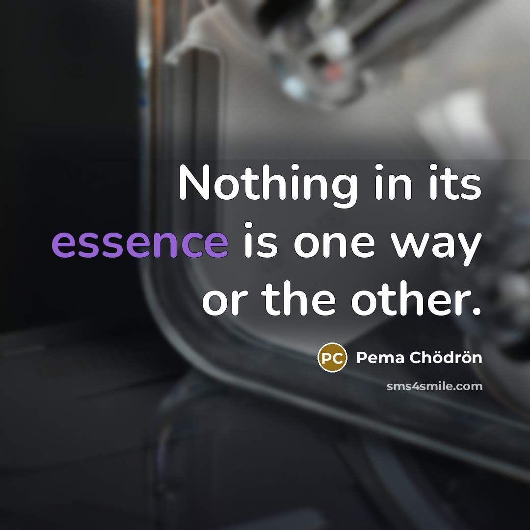 “Nothing in its essence is one way or the other.…” quote by Pema Chodron