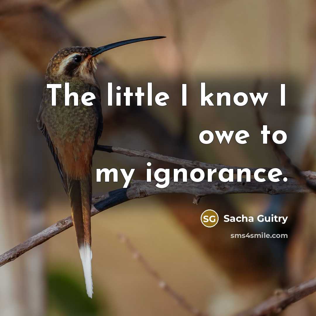 “The little I know I owe to my ignorance.” quote by Sacha Guitry