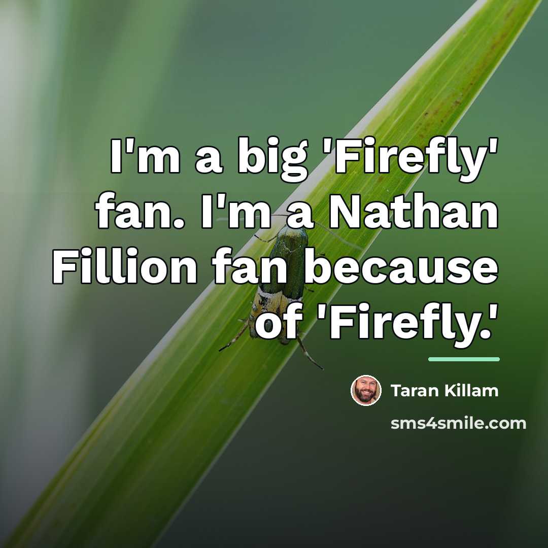 “I'm a big 'Firefly' fan. I'm a Nathan Fillion fan…” quote by Taran Killam