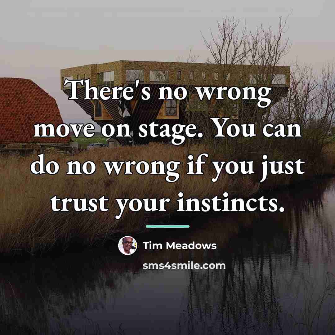 “There's no wrong move on stage. You can do no…” quote by Tim Meadows