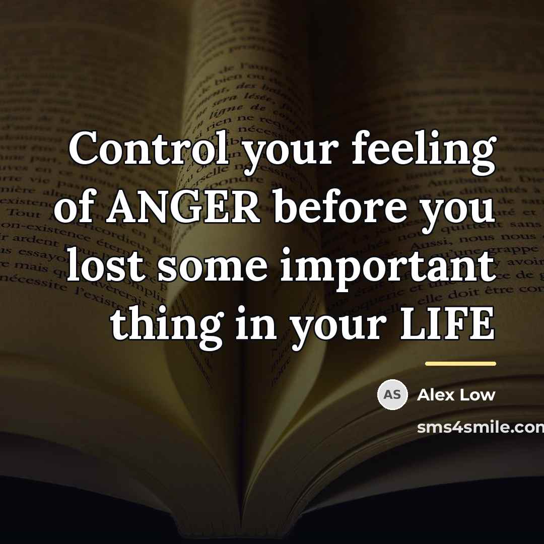 “Control your feeling of ANGER before you lost some important…” quote by Alex Low