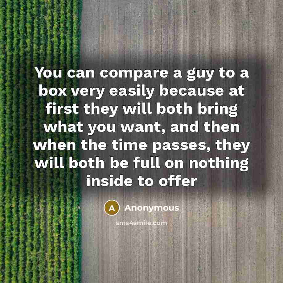 “You can compare a guy to a box very easily because at first they will both bring what you want, and then when the time passes, they will both be full on nothing inside to offer” quote by Anonymous
