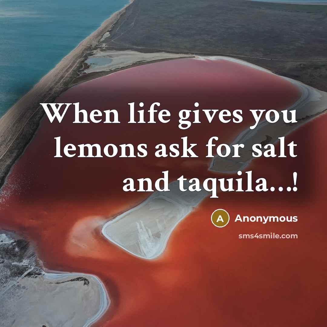 “When life gives you lemons ask for salt and taquila.....!…” quote by Anonymous