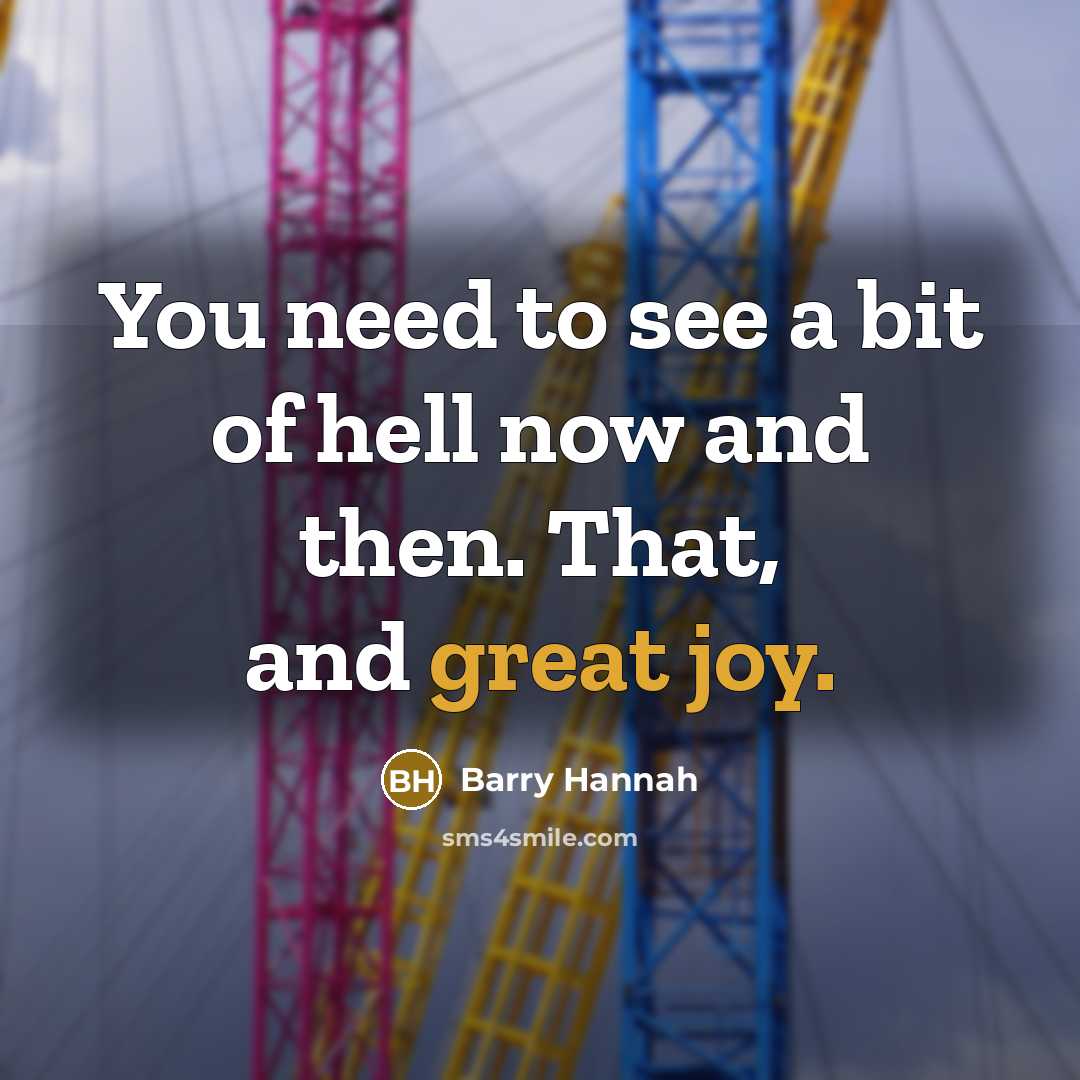 “You need to see a bit of hell now and then. That, and great joy.” quote by Barry Hannah