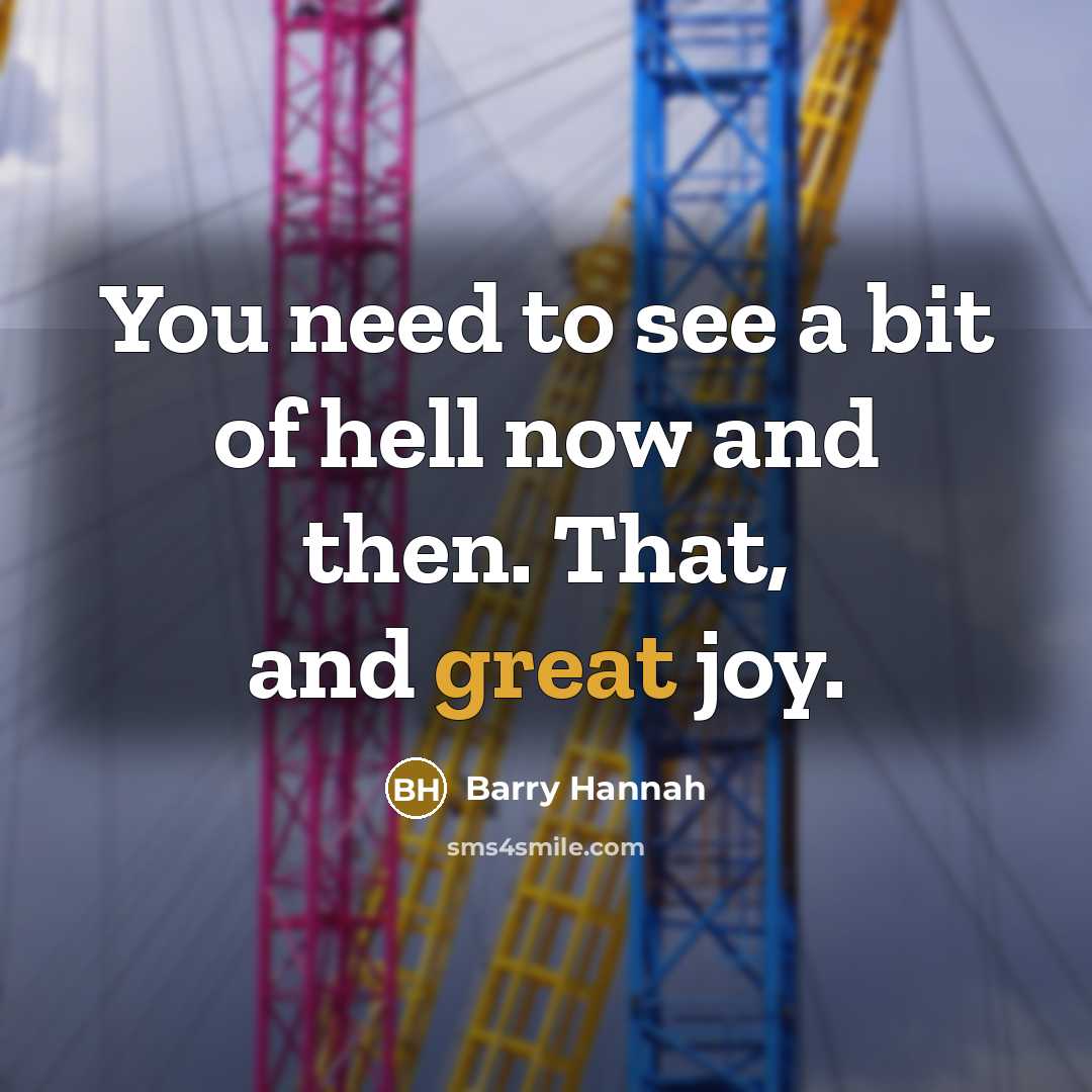 “You need to see a bit of hell now and…” quote by Barry Hannah
