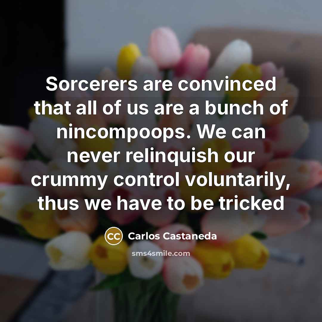 “Sorcerers are convinced that all of us are a bunch…” quote by Carlos Castaneda