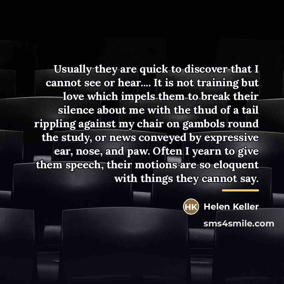 “Usually they are quick to discover that I cannot see…” quote by Helen Keller