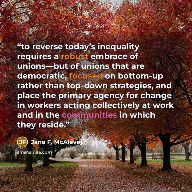“to reverse today’s inequality requires a robust embrace of unions—but of unions that are democratic, focused on bottom-up rather than top-down strategies, and place the primary agency for change in workers acting collectively at work and in the communities in which they reside.” quote by Jane F. McAlevey