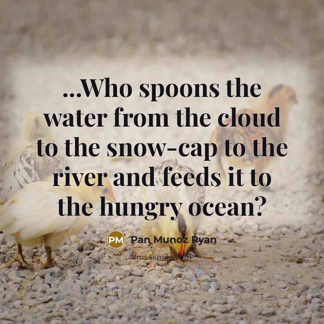 “...Who spoons the water from the cloud to the snow-cap…” quote by Pan Munoz Ryan