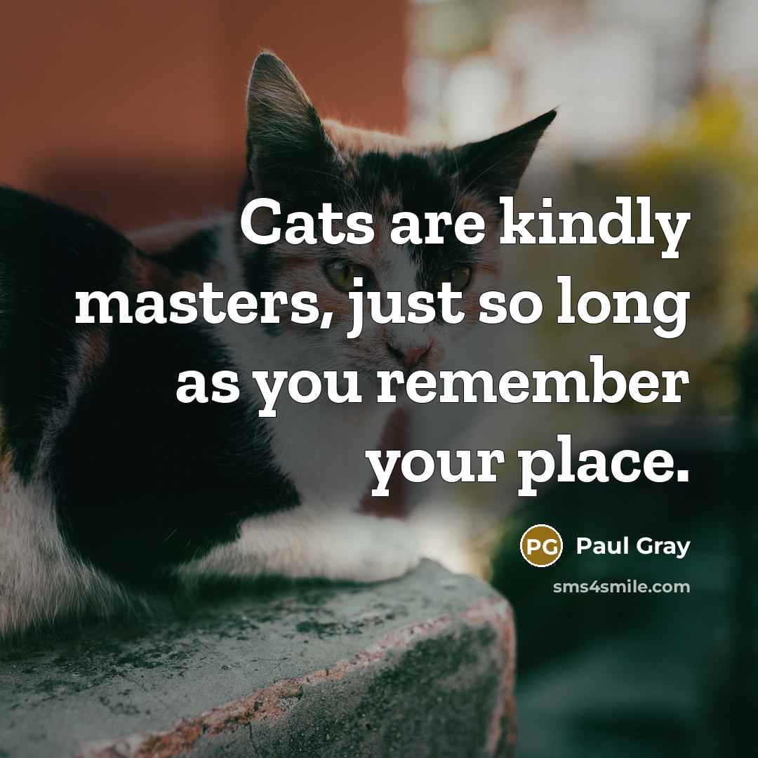 “Cats are kindly masters, just so long as you remember…” quote by Paul Gray