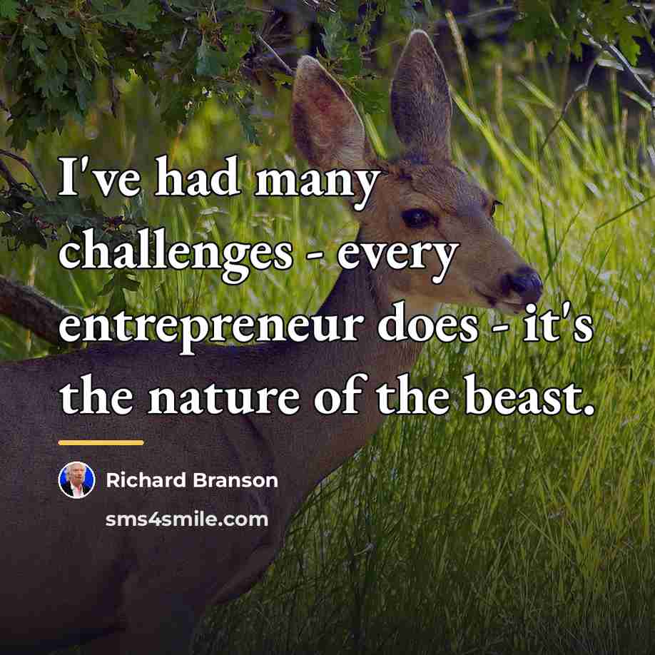 “I've had many challenges - every entrepreneur does - it's…” quote by Richard Branson