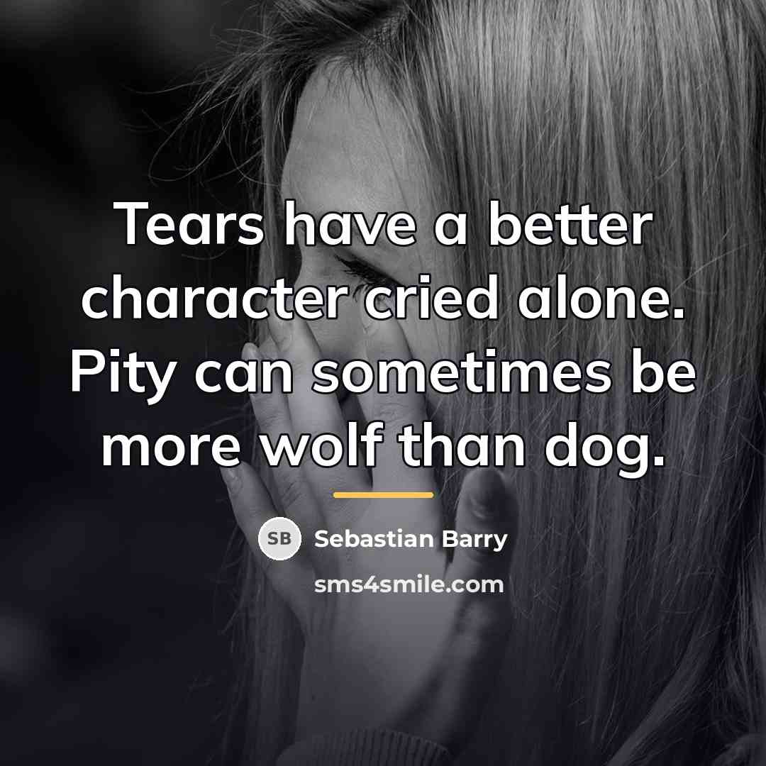 “Tears have a better character cried alone. Pity can sometimes…” quote by Sebastian Barry