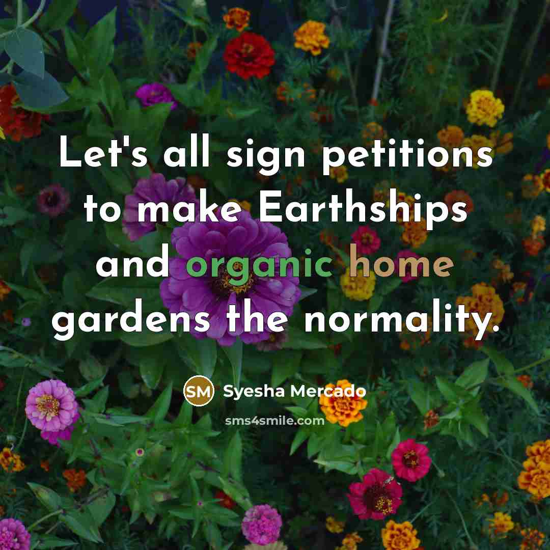 “Let's all sign petitions to make Earthships and organic home…” quote by Syesha Mercado