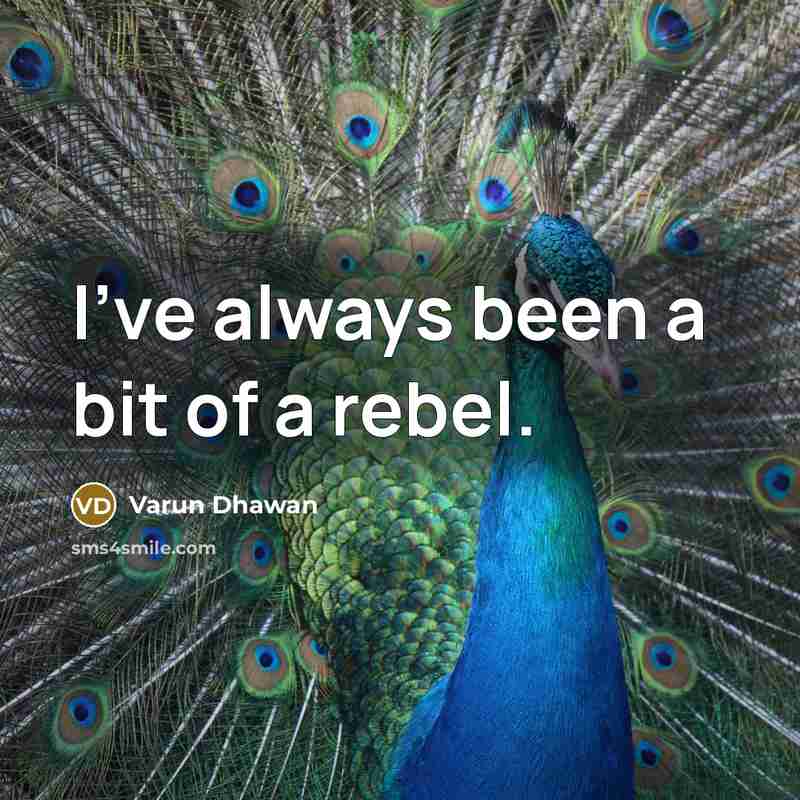 “I've always been a bit of a rebel.…” quote by Varun Dhawan