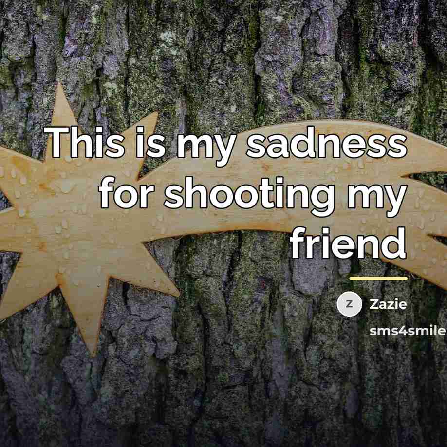 “This is my sadness for shooting my friend…” quote by Zazie