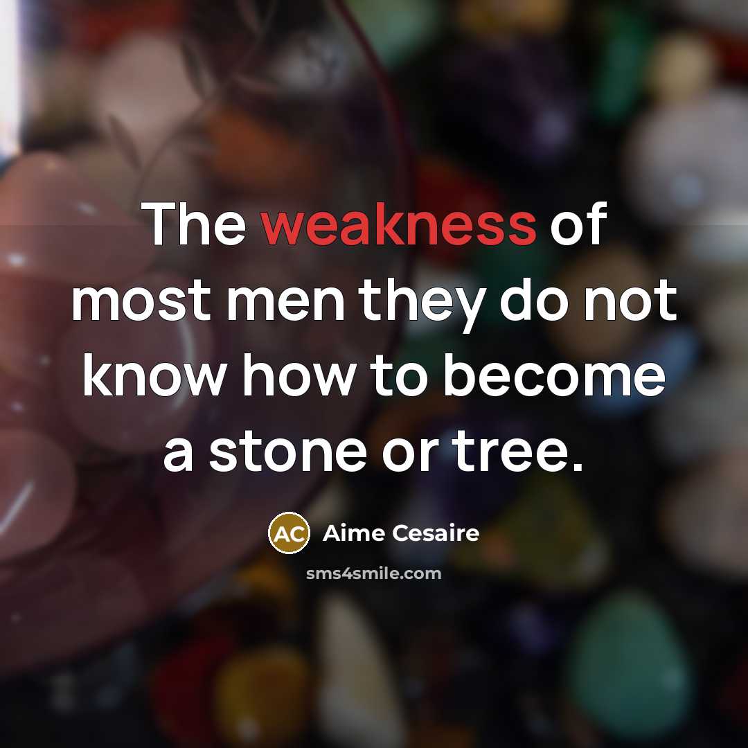 “The weakness of most men they do not know how to become a stone or tree.” quote by Aime Cesaire