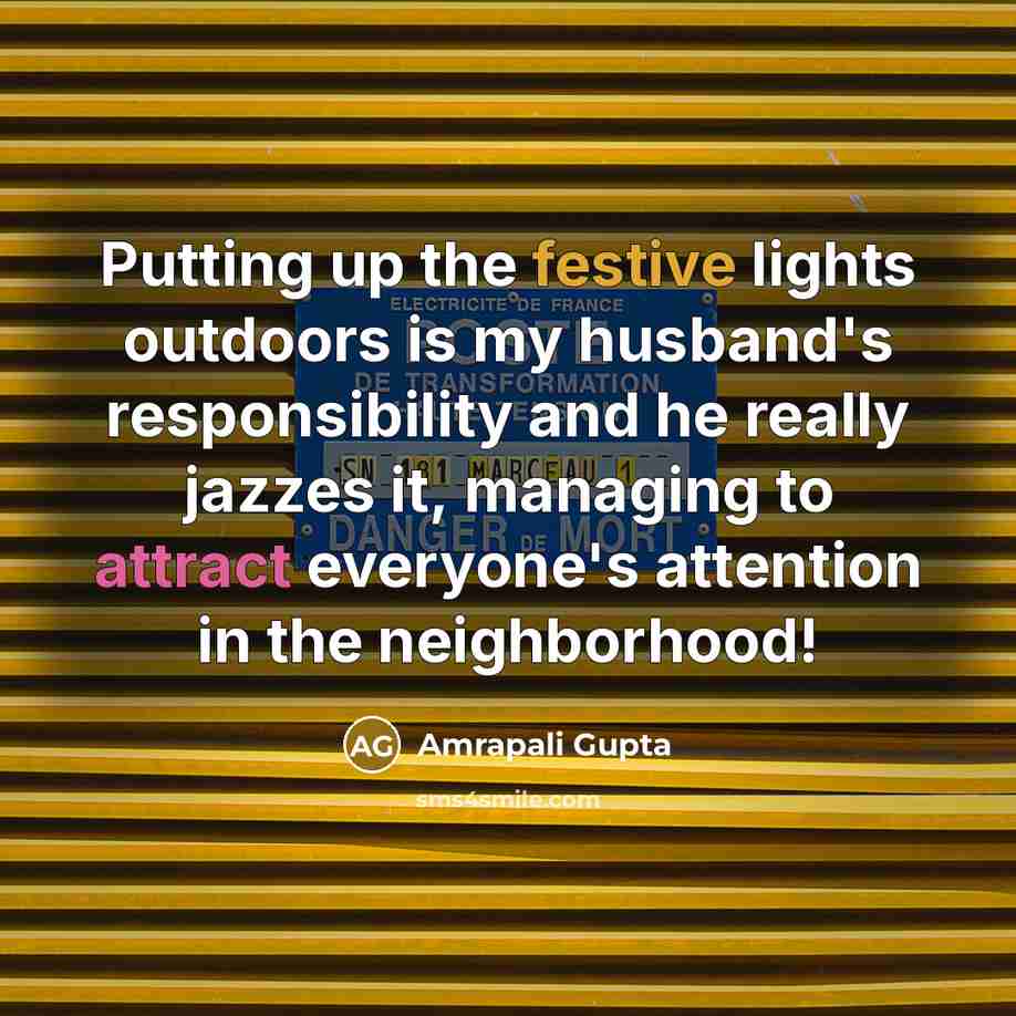 “Putting up the festive lights outdoors is my husband's responsibility…” quote by Amrapali Gupta