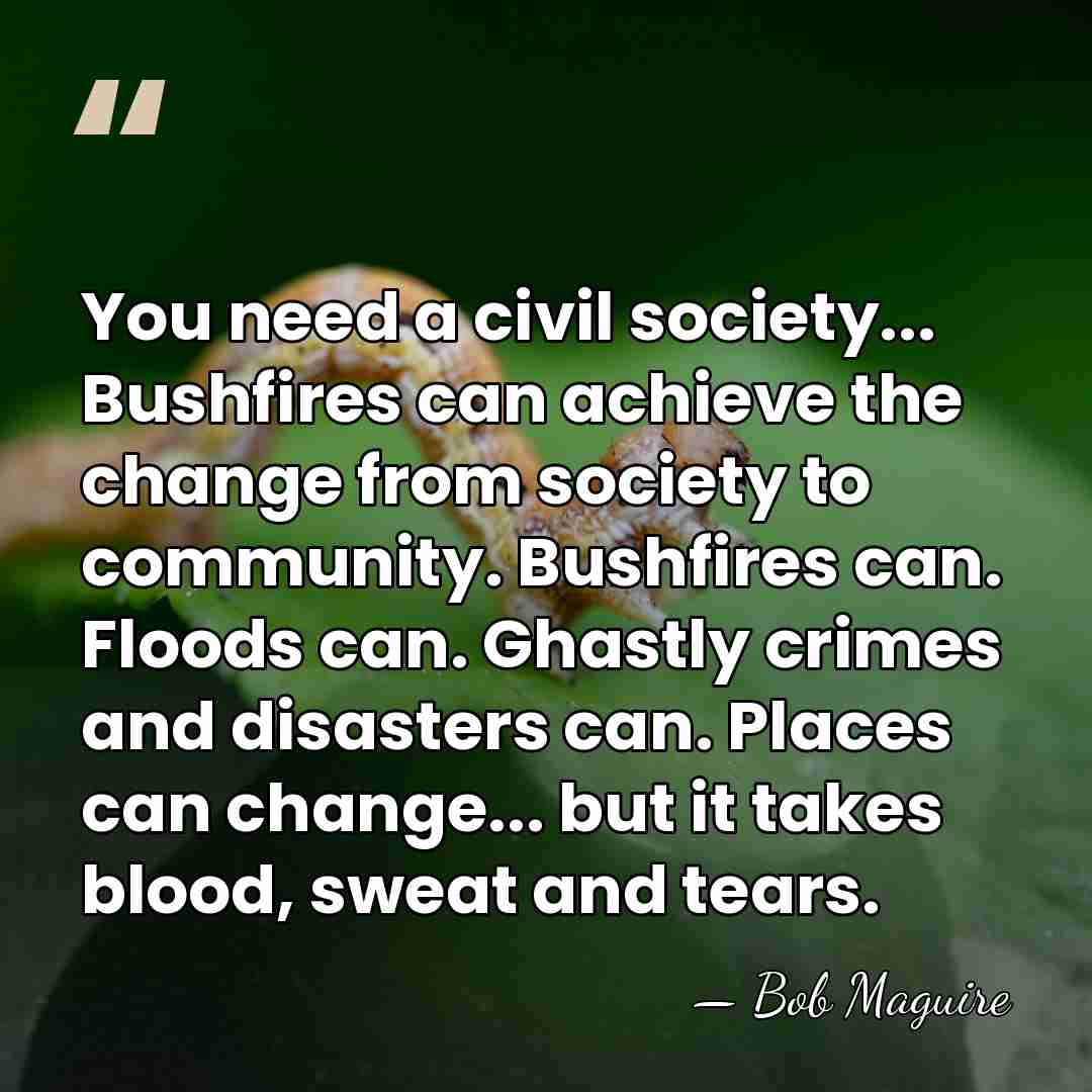 You need a civil society... Bushfires can achieve the change from society&hellip; - Bob Maguire